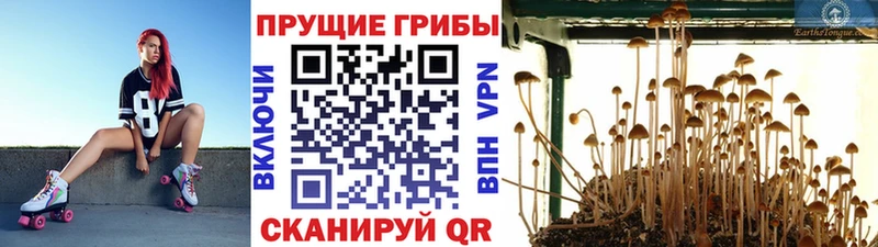 Галлюциногенные грибы ЛСД  мориарти Telegram  Лихославль 